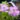 IMG_20260926_101325