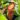IMG_20261020_092445