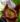 Nepenthes Rob – trap