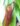 Nepenthes St Gaya – pitcher