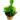 Heliamphora Midoxa – przykładowa sprzedawana roślina
